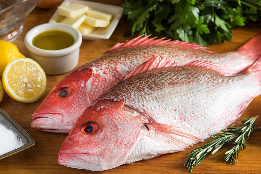 Fresh Red Snapper - WeGotMeat- Columbus Ohio Halal Meat Delivery
