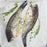 Fresh Black Sea Bass - WeGotMeat- Columbus Ohio Halal Meat Delivery