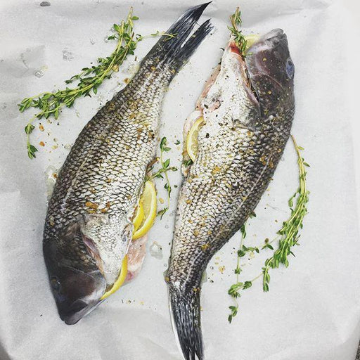 Fresh Black Sea Bass - WeGotMeat- Columbus Ohio Halal Meat Delivery